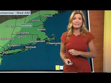 Jen Carfagno The Weather Channel 102521 Orange Dress Profile View