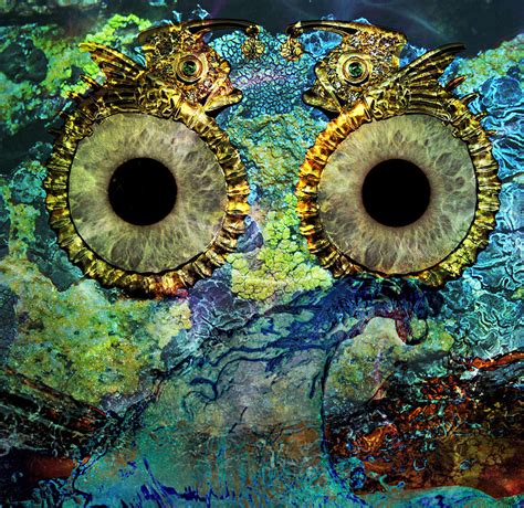Fish Eyes Painting By Ally White Fine Art America