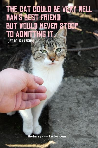 Enjoy reading and share 5 famous quotes about cat friendship with everyone. Quotes about cats… - The Furry AWW Factor