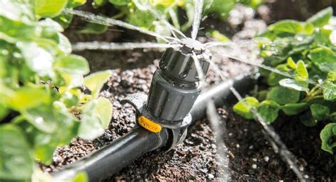 Ensuring You Have The Perfect Irrigation System For Your Yard Greenhouse Gardening Tips