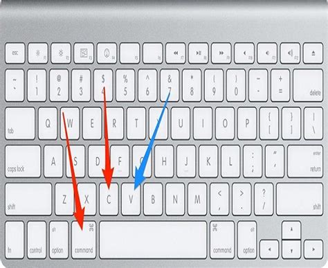 How to Copy and Paste on Mac [ Cut - Copy - Paste Files Shortcut ]