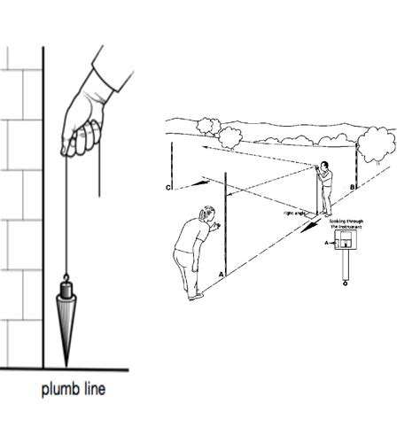 Plumb Line Anatomy