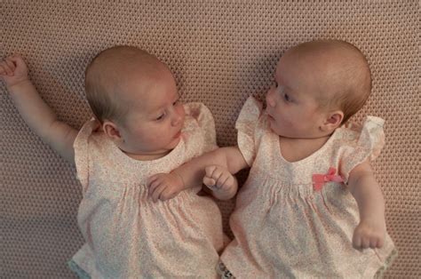 Tvillinger Gravid Med Tvillinger Eneggede Tvillinger Eller Toeggede