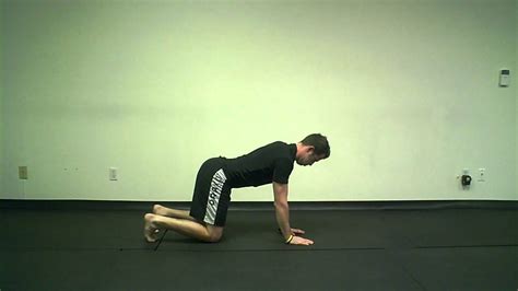 Quadruped Leg Lift A Functional Exercise To Strengthen Your Core
