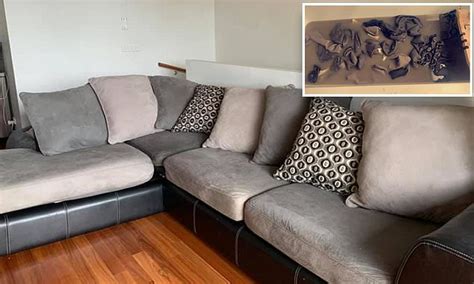 Woman Shares Photos Showing Why You Need To Wash Your Couch Now