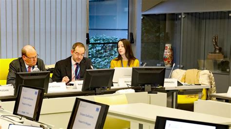 Council Of Europe Recognizing Refugees Education Qualifications