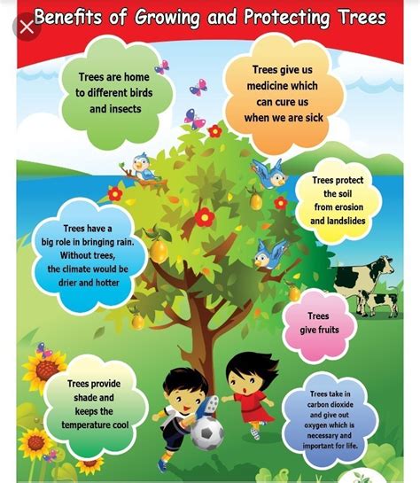 Disign And Draft A Poster To Highlight The Importance Of Trees In Our