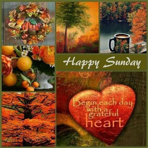 Happy Sunday Images Fall Our Committed Community Of Users Submitted
