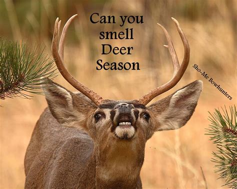 Quotes About Deer Season Quotesgram