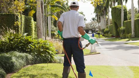 Lawn Maintenance Guide Green Earth Pest Control