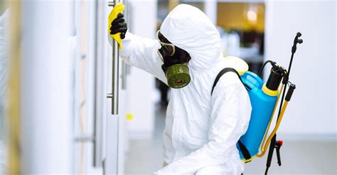 Theyve always cleaned my unit on time, reported any damages, let me know when toiletries were getting low, and been very easy to communicate with. Disinfection, sanitisation and cleaning in the post ...