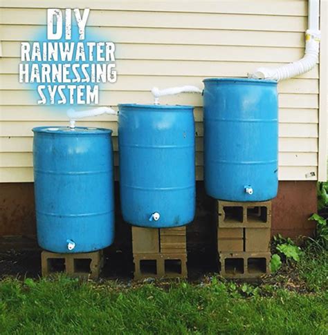 Build Your Own Rainwater Collecting System Garden Culture Magazine My