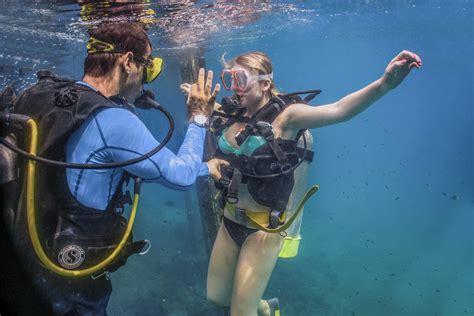 How To Scuba Dive The Puerto Vallarta Way Vallarta Adventures