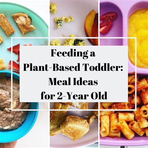 Feeding A Plant Based Toddler What Willow Eats The