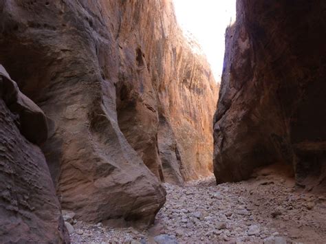 Exposure to lead in condors first became a concern, according to parish, in 2000, but it really showed up in 2002 and again in 2003. Trip Report An April week in SW Utah