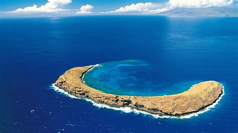 Best Snorkeling In Hawaii Big Island Maui And Oahu Expedia