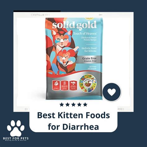 15 Best Kitten Foods For Diarrhea In 2022