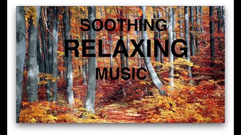 Soothing Relaxing Music Worlds Best Youtube