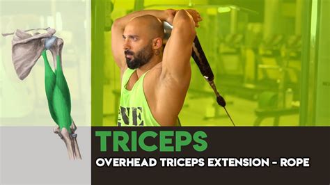 Overhead Triceps Extension Rope Atc Youtube