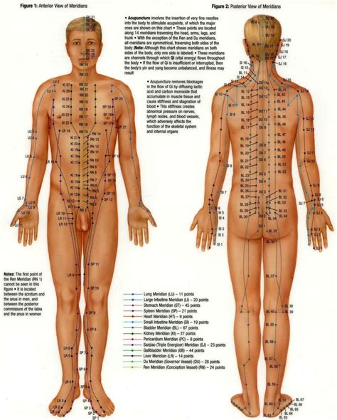 Pressure Points On The Body Acupuncture Points Acupuncture Points