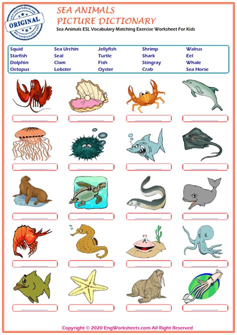 Sea Animals Pictionary English Esl Worksheets For Distance Learning