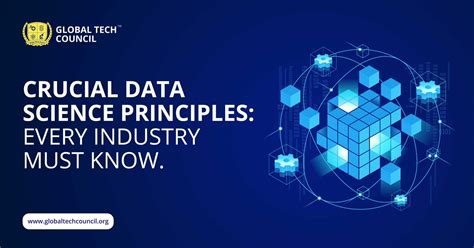 Crucial Data Science Principles Every Industry Must Know