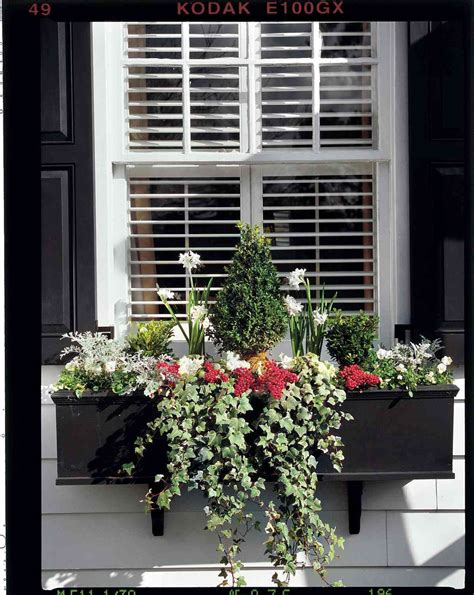 Flower Window Box The Definitive Guide To Window Box Design The