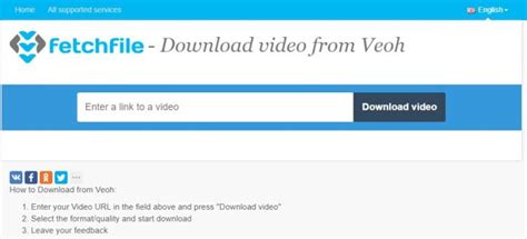 Top 10 Best Veoh Video Downloaders