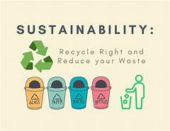 Recycle Right Waste Less Debusks Insider Tips For Environmental Conservation