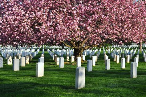 Arlington National Cemetery History And Facts History Hit