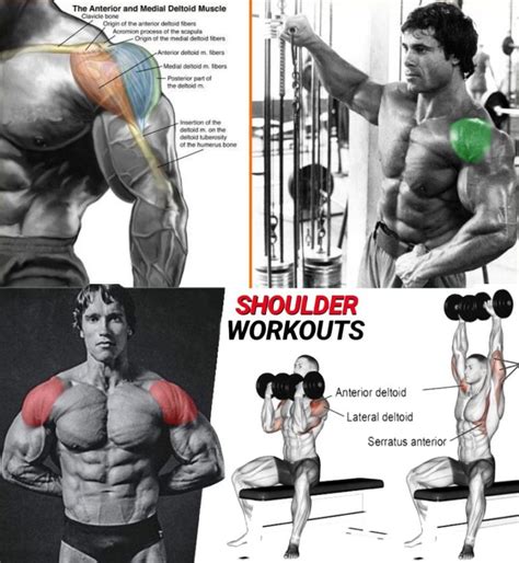 How To Delts Exercises Sets Reps Guide