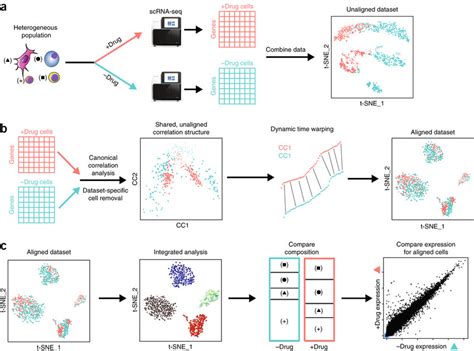 Overview Of Seurat Alignment Of Single Cell Rna Seq Data Sets A