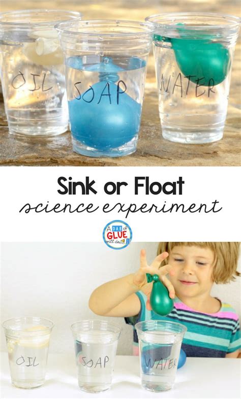 Sink Or Float Science Experiment Science Experiments For Preschoolers
