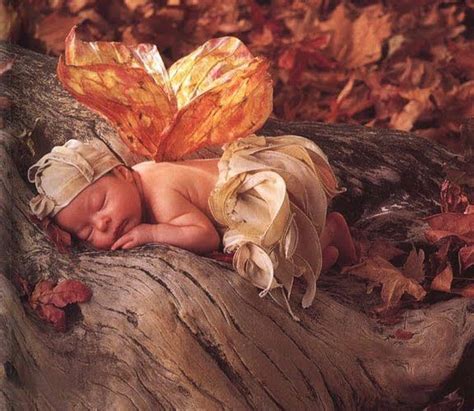 Anne Geddes Anne Geddes Baby Pictures Cute Pictures Cool Photos