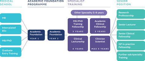 Medical Clinical Academic Training Pathway Career Flow Chart