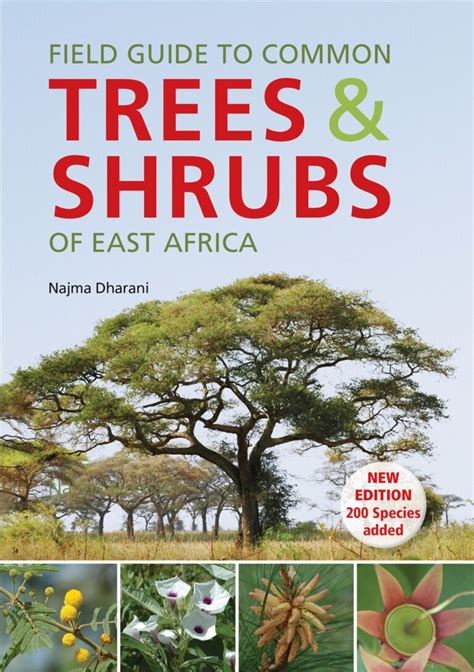 Field Guide To Common Trees Shrubs Of East Africa 2 • Africa Travel Centre