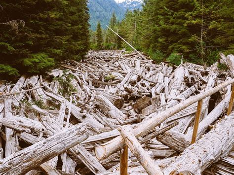 Log Jam Beautiful World Aerial Places To Visit