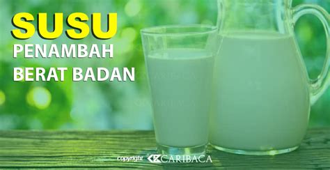 Manfaat Susu Dancow Full Cream Untuk Orang Dewasa Info Tentang Susu
