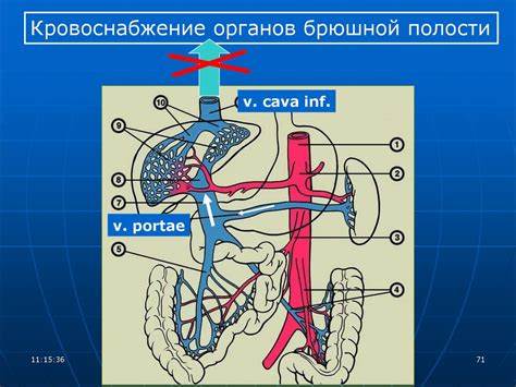 Диета после анемии