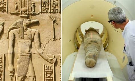 Khentiamentiu The Ancient Egyptians Mummified Crocodiles Ct Scan On
