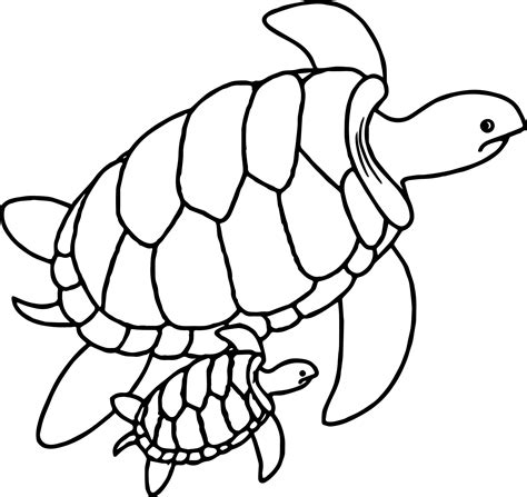 Sea Turtle Printable Coloring Pages At