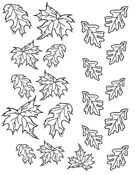 Picture of Maple Fall Leaf Coloring Page - NetArt
