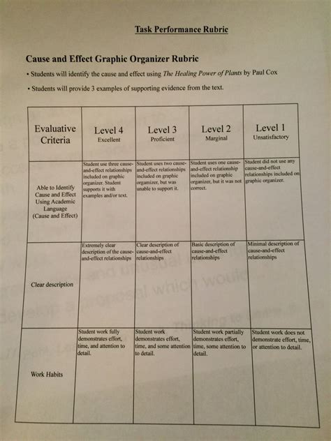 5th Grade Rubric For Cause And Effect Cause And Effect 5th Grades