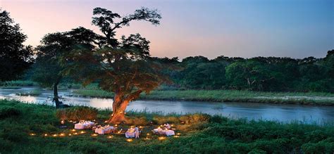 Lion sands river lodge, south africa/sabi sand game reserve. Lion Sands Game Reserve | Safari Holidays | Pure Destinations