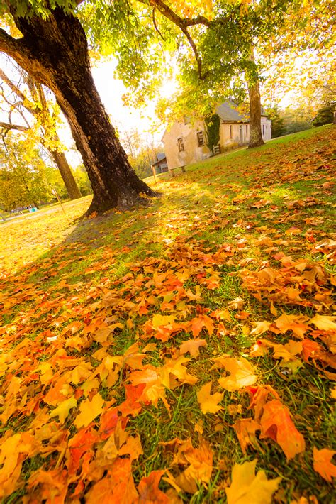 Fall Foliage The Best Of Batsto Village In Autumn — Greg