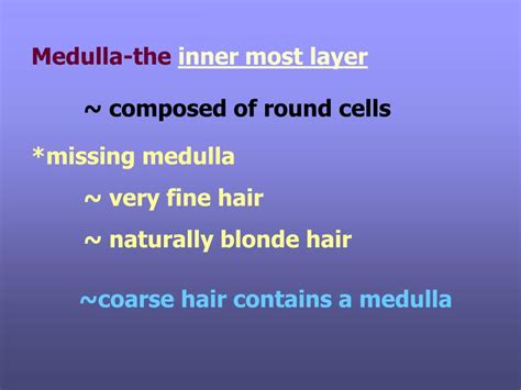 PPT - CHAPTER 11 PROPERTIES OF THE HAIR AND SCALP 2012 ...