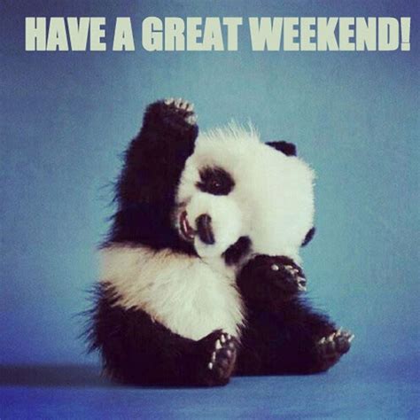 Have A Great Weekend Happy Friday Quotes Its Friday Quotes Friday Meme