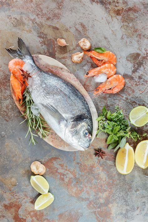 Fresh Fish And Shrimps Stock Image Image Of Copyspace 57548517