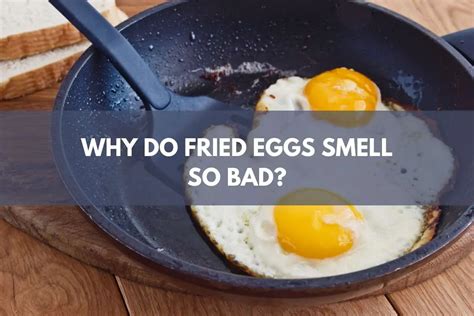 Why Do Fried Eggs Smell So Bad Explained Cuisinein