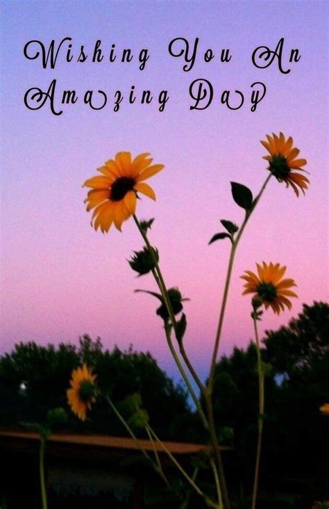 Pin By Lalit Rana On Morning Wishes Sunflower Wallpaper Aesthetic
